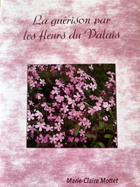 Brochure jeu de cartes