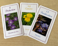 Jeu de cartes